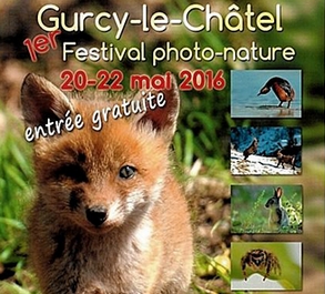 Festival photo-nature à Gurcy le Châtel