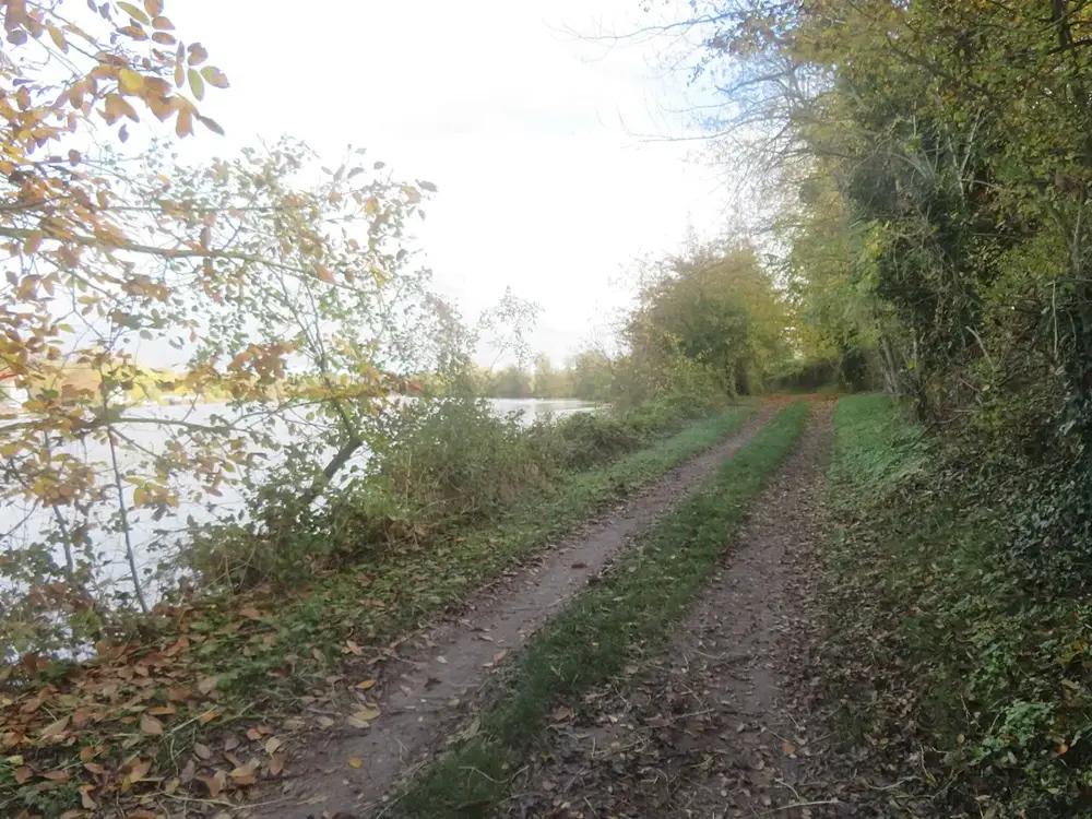 Chemin le long de la Seine en amont de la passerelle de l'écluse à Varennes-sur-Seine